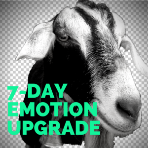 7-DAY EMOTIONAL UPGRADE - (1)